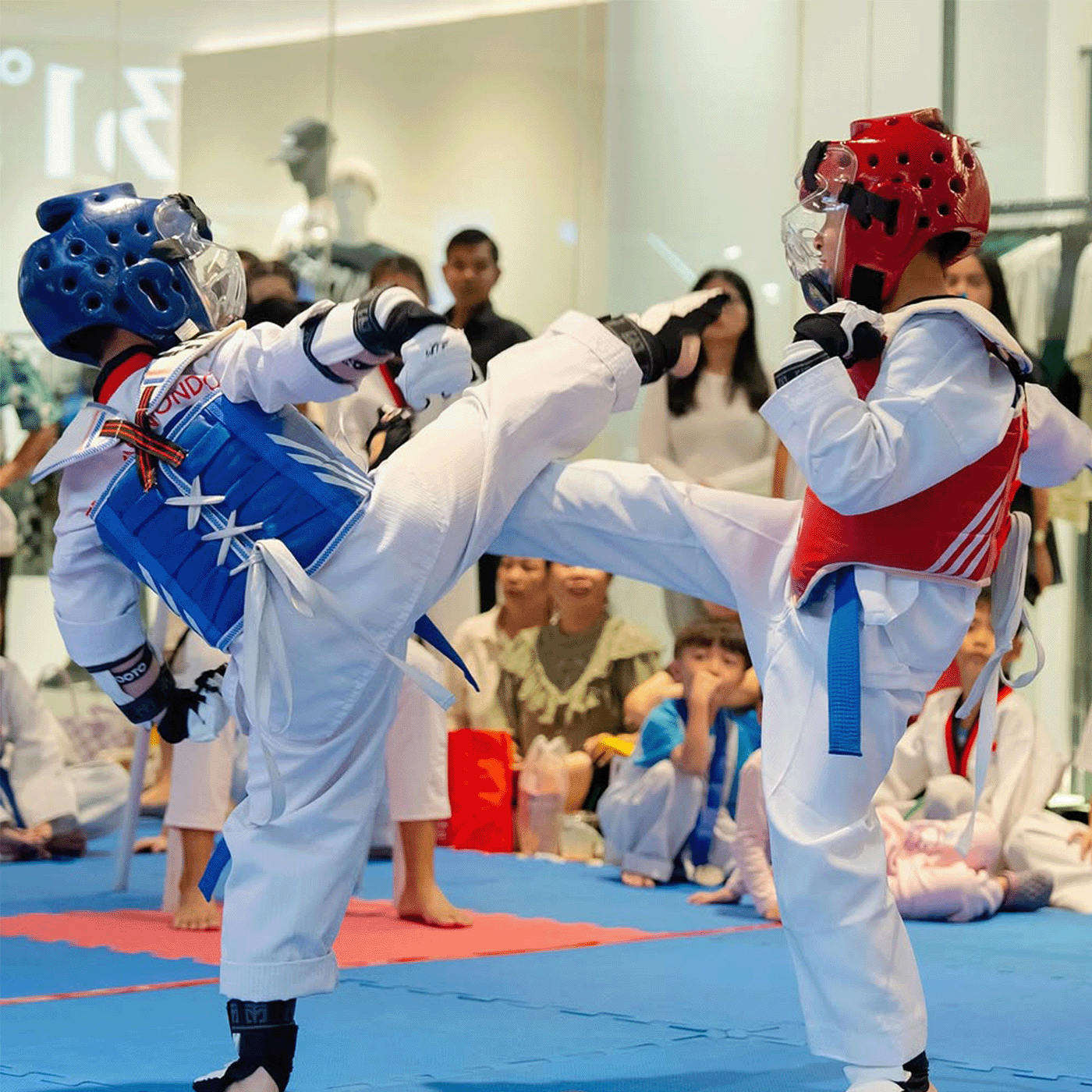 Mission Taekwondo